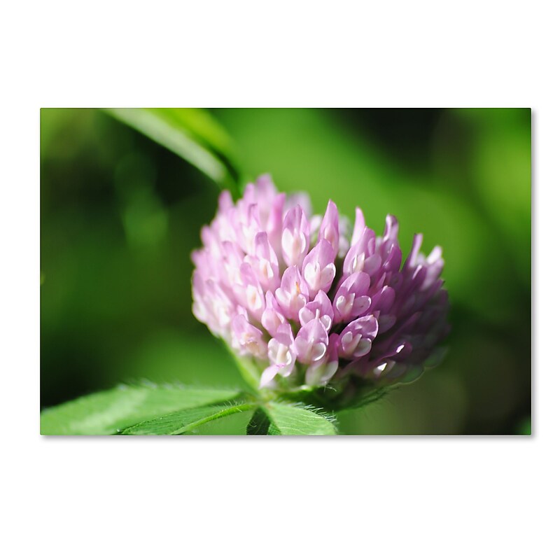 Trademark Fine Art Monica Mize 'Vindictive Lust' 16 x 24 (MF173-C1624GG) image 1