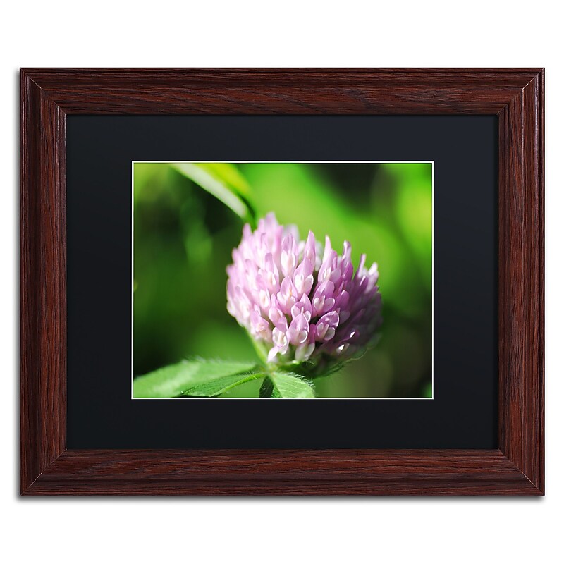 Trademark Fine Art Monica Mize 'Vindictive Lust' 11 x 14 (MF173-W1114BMF) image 1