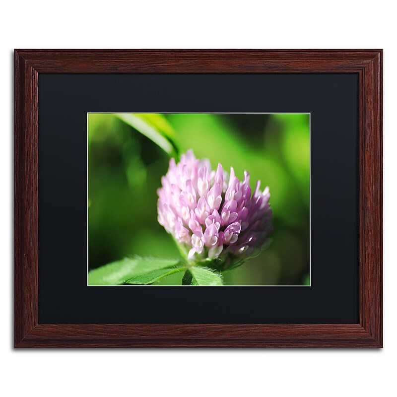 Trademark Fine Art Monica Mize 'Vindictive Lust' 16 x 20 (MF173-W1620BMF) image 1