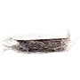 JAM Paper Feather Ribbon, Rainbow (2209816342)~#|#~m002637250_sc7