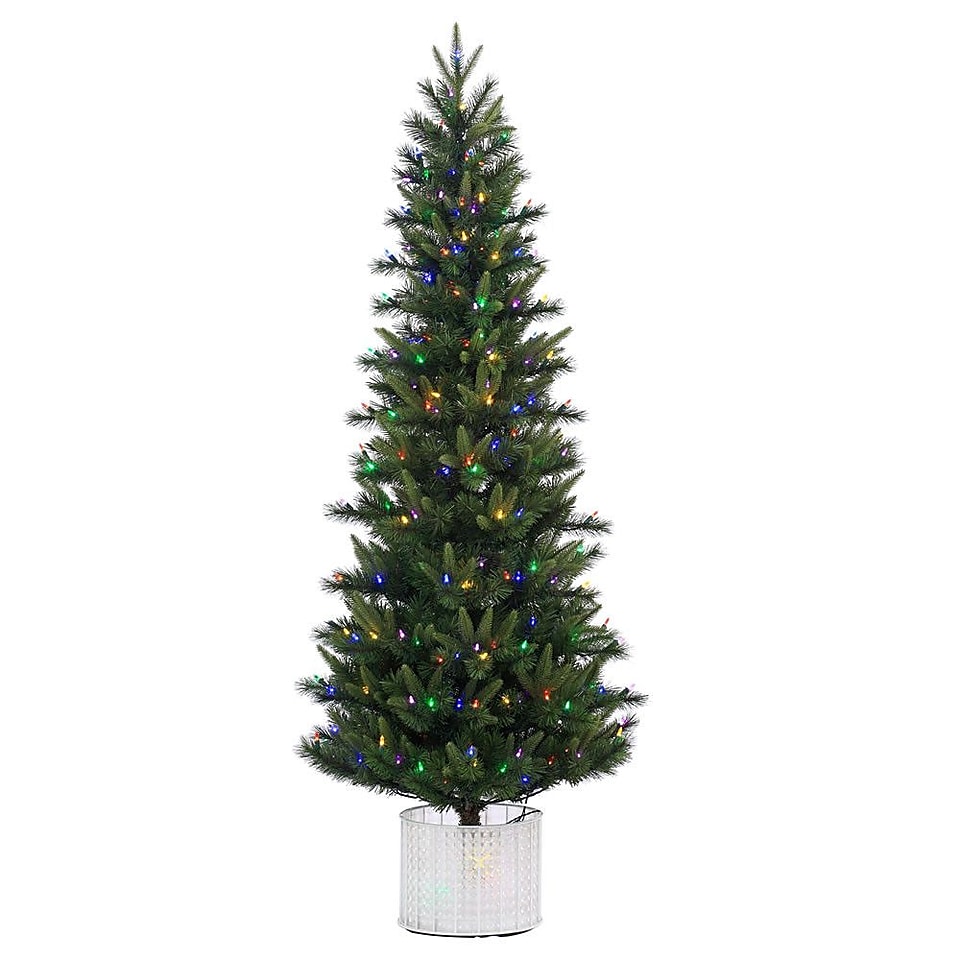 Vickerman 6 Stockton Spruce Christmas Tree with 300 LED Multi Colored Lights