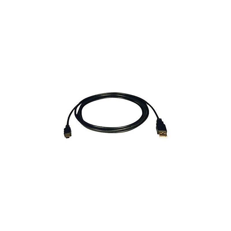Tripp Lite USB 2.0 Hi-Speed A to Mini-B Cable image 1