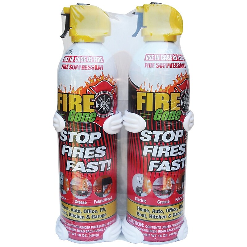 Petra Fire Gone Foam Fire Extinguisher, Class ABC, 2/Pack (AVW2FG7209) image 1