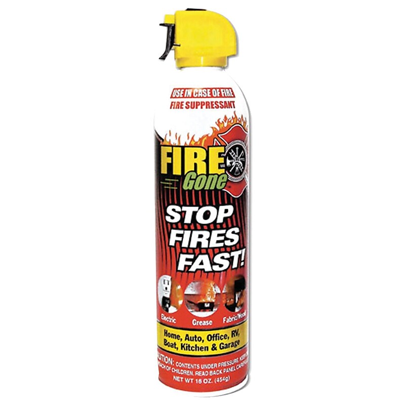 Petra Fire Gone Fire Extinguisher, Class ABC (AVWFX007) image 1
