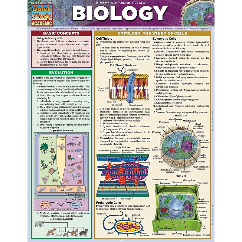 BarCharts, Inc. QuickStudy® Biology Reference Set (9781423230267) image 1
