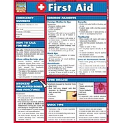 BarCharts, Inc. QuickStudy® First Aid & CPR Reference Set (9781423231608)