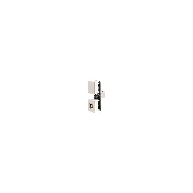 C2G Type-B USB/RJ-45 Female/Female Keystone Extender Insert, White (29349) image 1