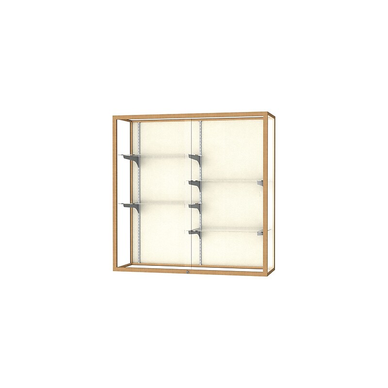 Ghent Champion 48"W x 48"H x 16"D Wall Case, Plaque Back, Champagne Finish image 1