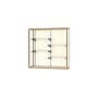 Ghent Champion 48"W x 48"H x 16"D Wall Case, Plaque Back, Champagne Finish~#|#~m003187558_sc7