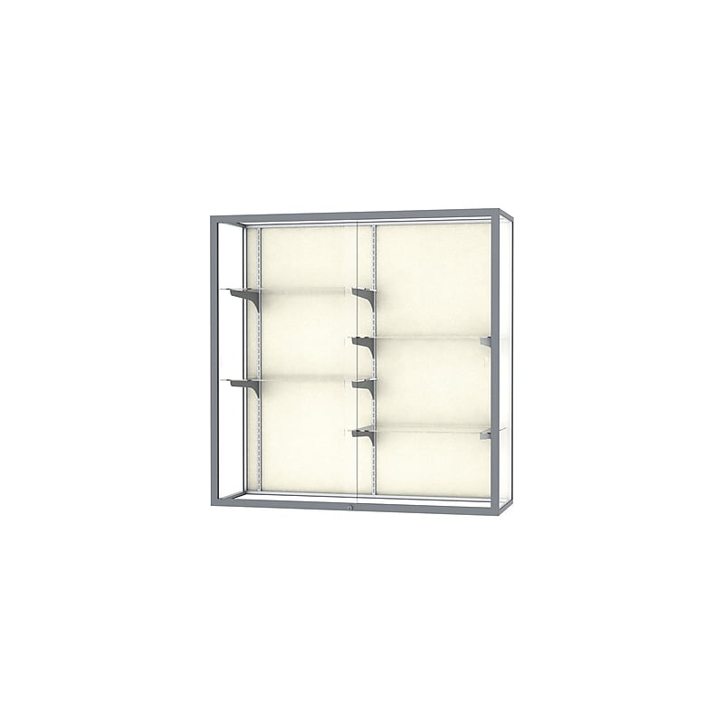 Ghent Champion 48"W x 48"H x 16"D Wall Case, Satin Finish image 1