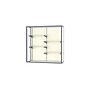 Ghent Champion 48"W x 48"H x 16"D Wall Case, Satin Finish~#|#~m003187559_sc7