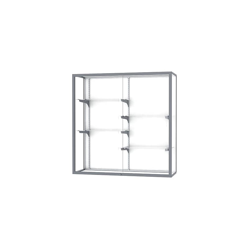 Ghent Champion 48"W x 48"H x 16"D Wall Case, White Back w/ Satin Finish image 1