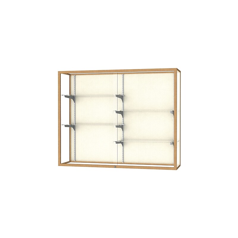 Ghent Champion 60"W x 48"H x 16"D Wall Case, Plaque Back, Champagne Finish image 1