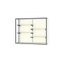 Ghent Champion 60"W x 48"H x 16"D Wall Case, Plaque Back w/ Satin Finish~#|#~m003187565_sc7