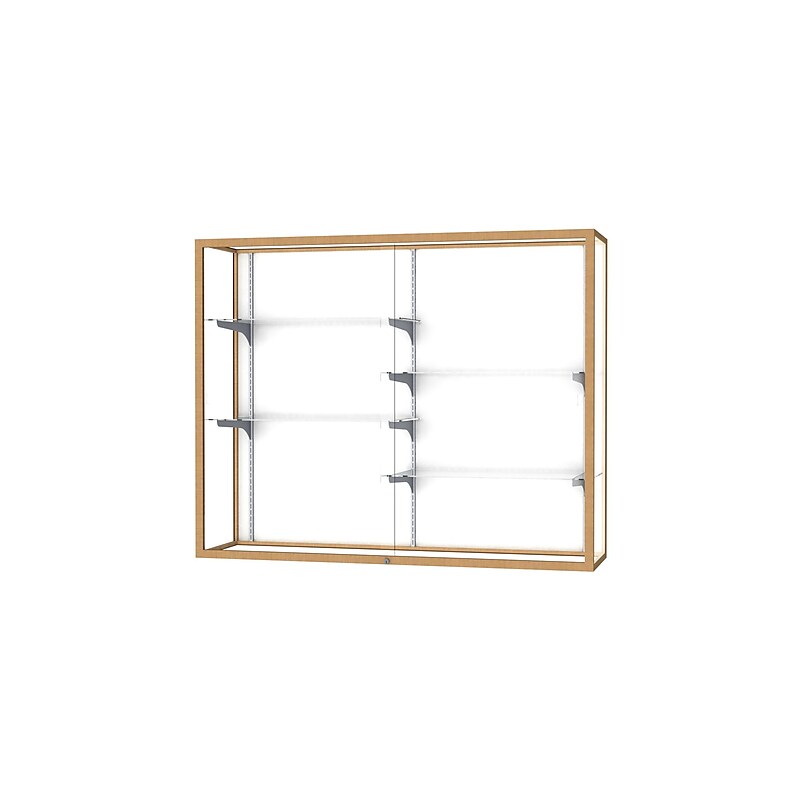 Ghent Champion 60"W x 48"H x 16"D Wall Case, White Back, Champagne Finish image 1