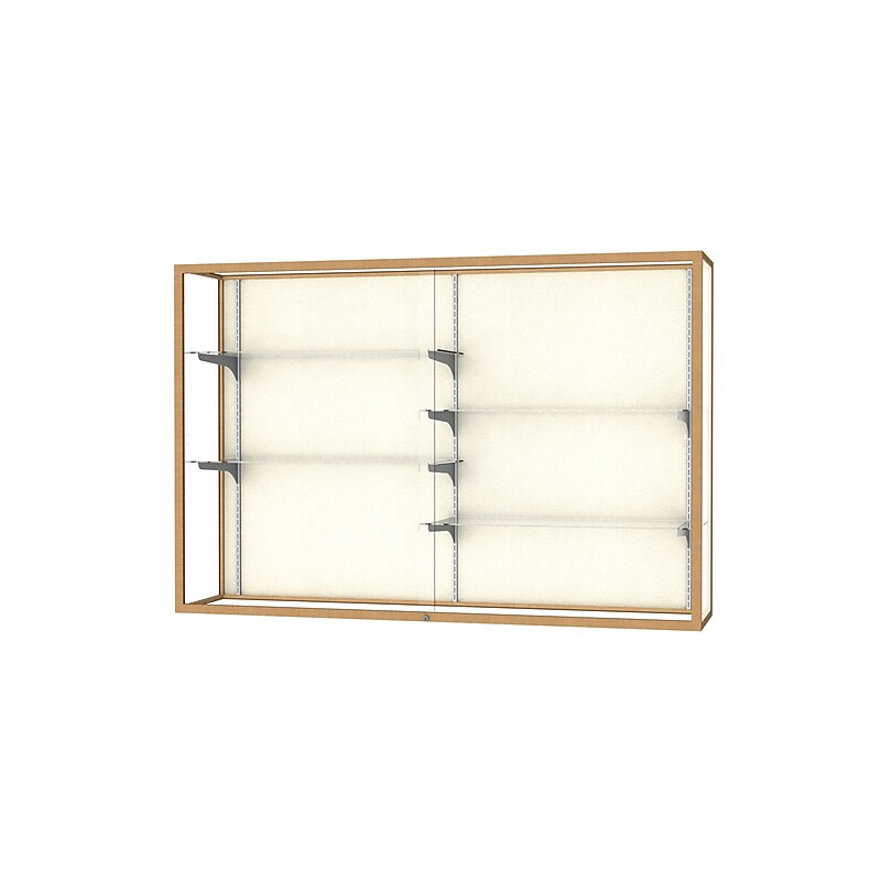 Ghent Champion 72"W x 48"H x 16"D Wall Case, Plaque Back, Champagne Finish image 1