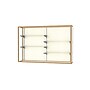 Ghent Champion 72"W x 48"H x 16"D Wall Case, Plaque Back, Champagne Finish~#|#~m003187570_sc7
