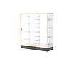 Ghent Colossus 60"W x 66"H x 20"D Floor Case, White Back, Champagne Finish~#|#~m003187588_sc7