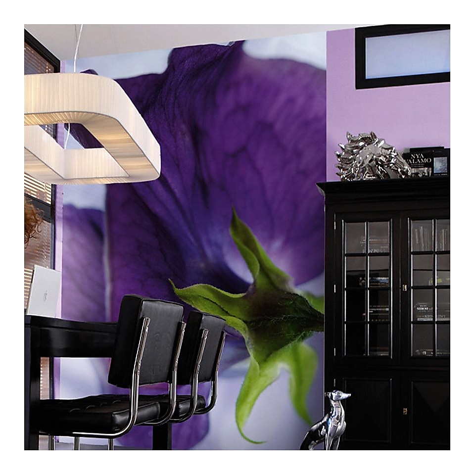Brewster Home Fashions Komar Viola Wall Mural