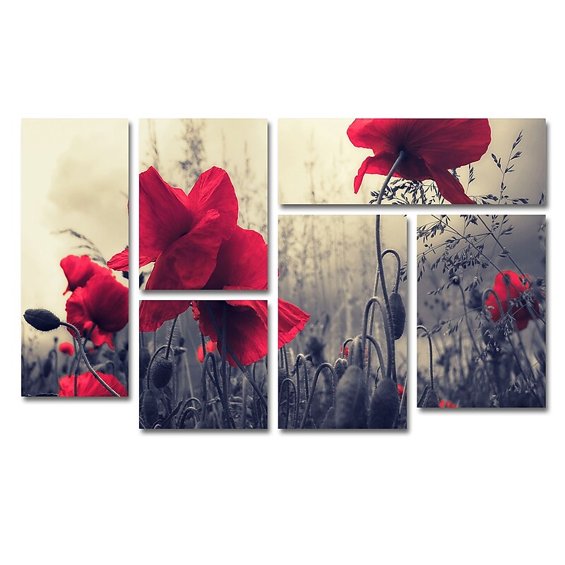Trademark Global Philippe Sainte-Laudy 'Red For Love' Multi-Panel Art Set, 47"x28" (PSL0113-P6-SET) image 1