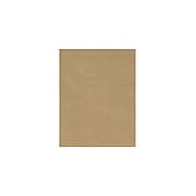 LUX 148 lb. Cardstock Paper, 12" x 18", Brown, 500 Sheets/Pack (1218-C-18GB-500)