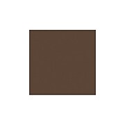 LUX® 12" x 12" Paper, Chocolate, 1,000 Sheets (1212-P-17-1M)