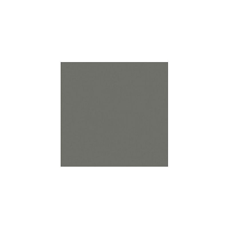 LUX 100 lb. Cardstock Paper, 12" x 12", Smoke Gray, 1000 Sheets/Box (1212-C-22-1M) image 1