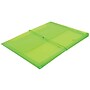 JAM Paper Standard Plastic Document File, 1 Pocket, Letter, Lime Green (218E25LI)~#|#~m003455747_sc7