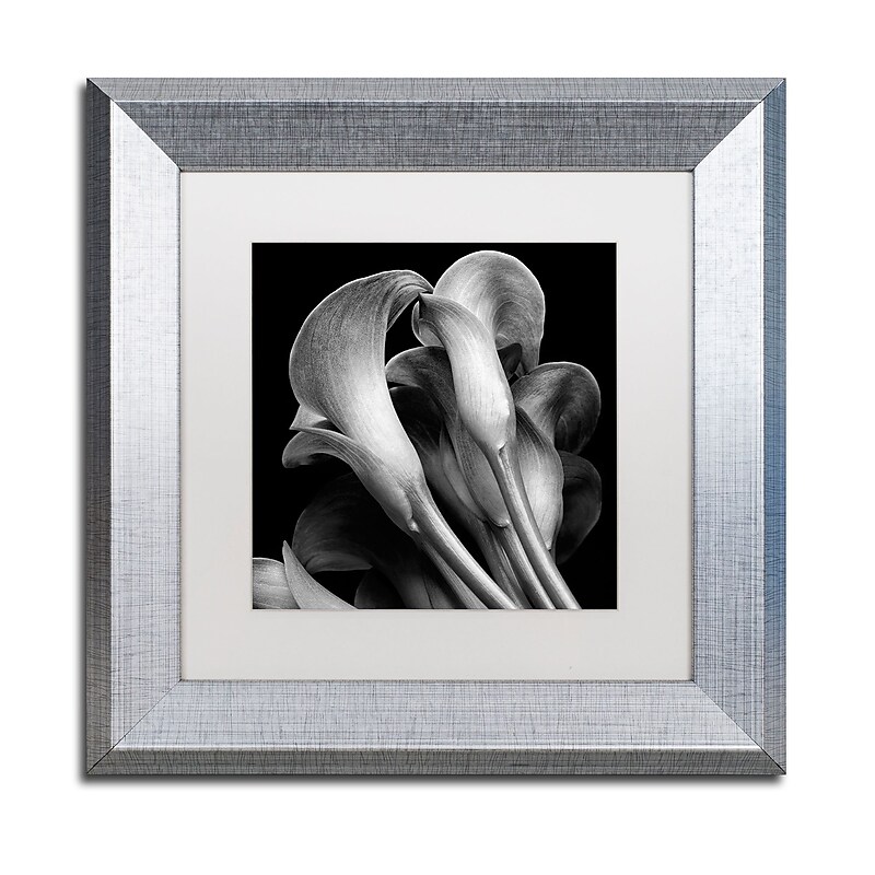 Trademark Fine Art ''Lillies'' by Michael Harrison 11" x 11" White Matted Silver Frame (ALI0288-S1111MF) image 1