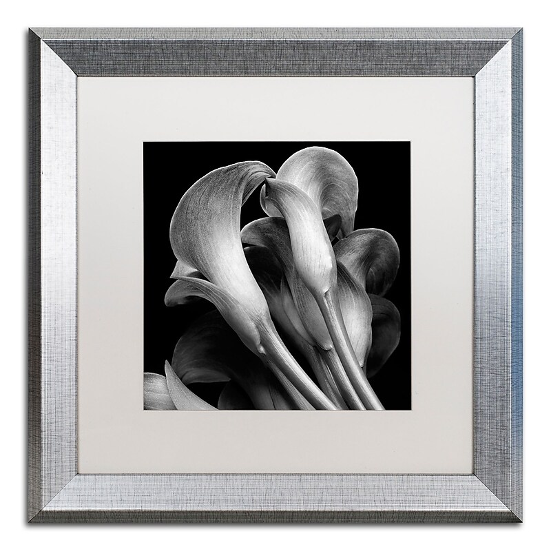 Trademark Fine Art ''Lillies'' by Michael Harrison 16" x 16" White Matted Silver Frame (ALI0288-S1616MF) image 1