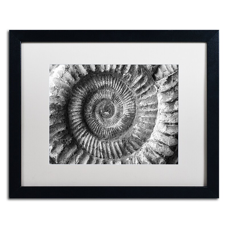 Trademark Fine Art ''Amonita 2'' by Moises Levy 16" x 20" White Matted Black Frame (ALI1051-B1620MF) image 1