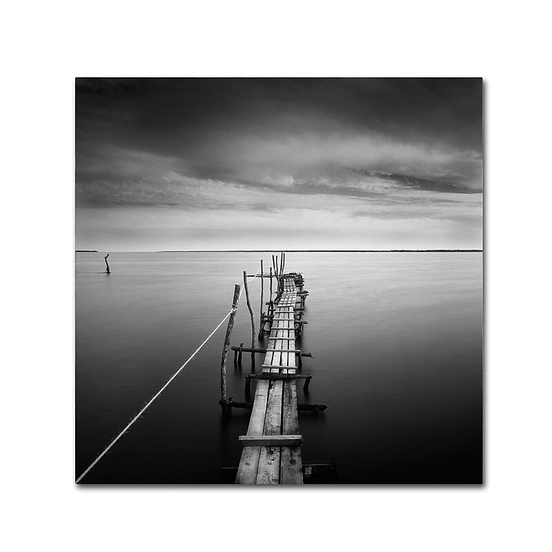 Trademark Fine Art ''Direction'' by Moises Levy 14" x 14" Canvas Art (ALI1058-C1414GG) image 1