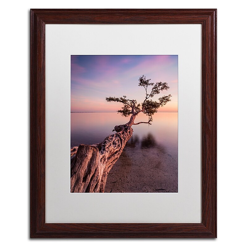 Trademark Fine Art ''Water Tree IV'' by Moises Levy 16" x 20" White Matted Wood Frame (ALI1066-W1620MF) image 1