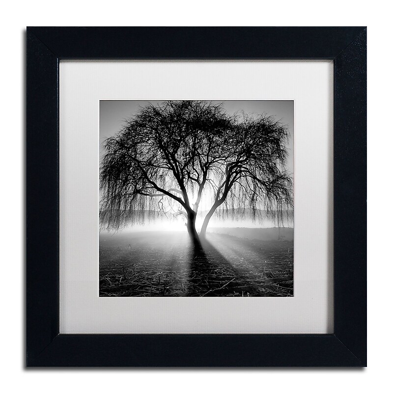 Trademark Fine Art ''Lightning Tree I'' by Moises Levy 11" x 11" White Matted Black Frame (ALI1069-B1111MF) image 1