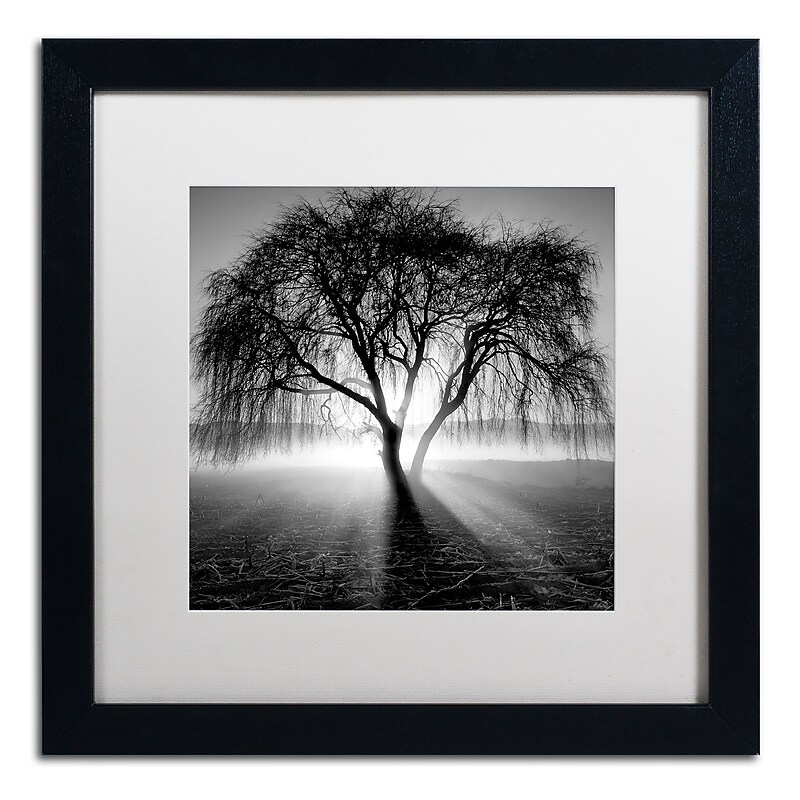 Trademark Fine Art ''Lightning Tree I'' by Moises Levy 16" x 16" White Matted Black Frame (ALI1069-B1616MF) image 1