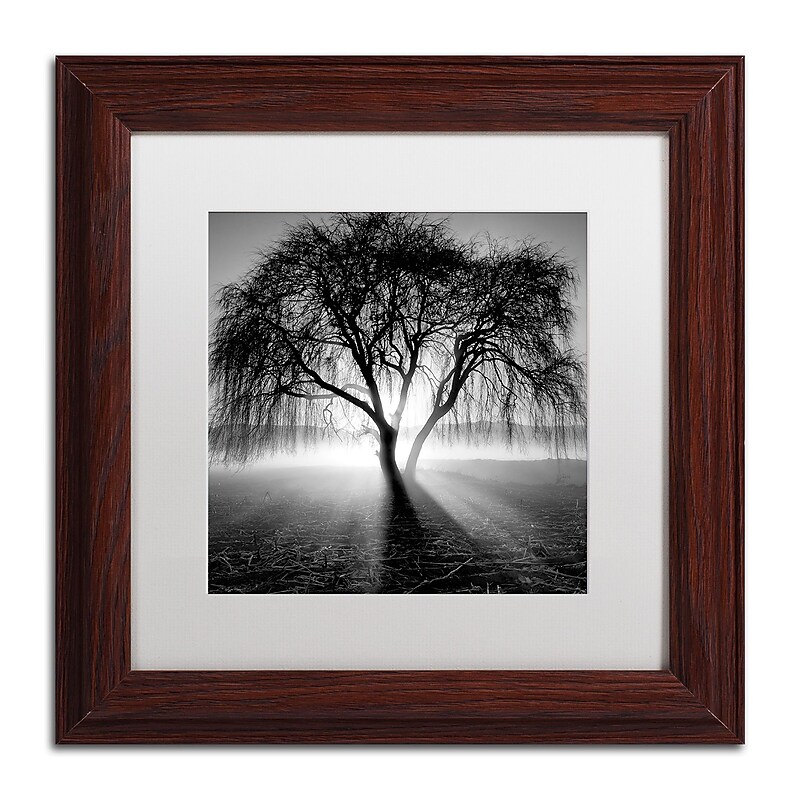 Trademark Fine Art ''Lightning Tree I'' by Moises Levy 11" x 11" White Matted Wood Frame (ALI1069-W1111MF) image 1