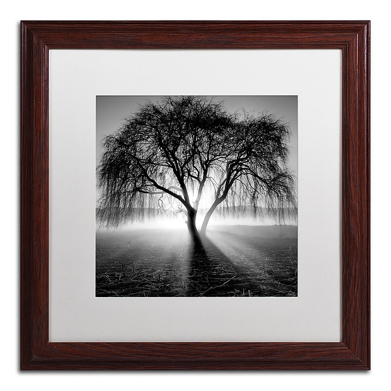 Trademark Fine Art ''Lightning Tree I'' by Moises Levy 16" x 16" White Matted Wood Frame (ALI1069-W1616MF) image 1
