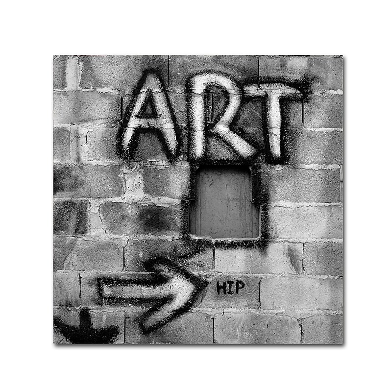 Trademark Fine Art ''Art'' by Moises Levy 14" x 14" Canvas Art (ALI1072-C1414GG) image 1