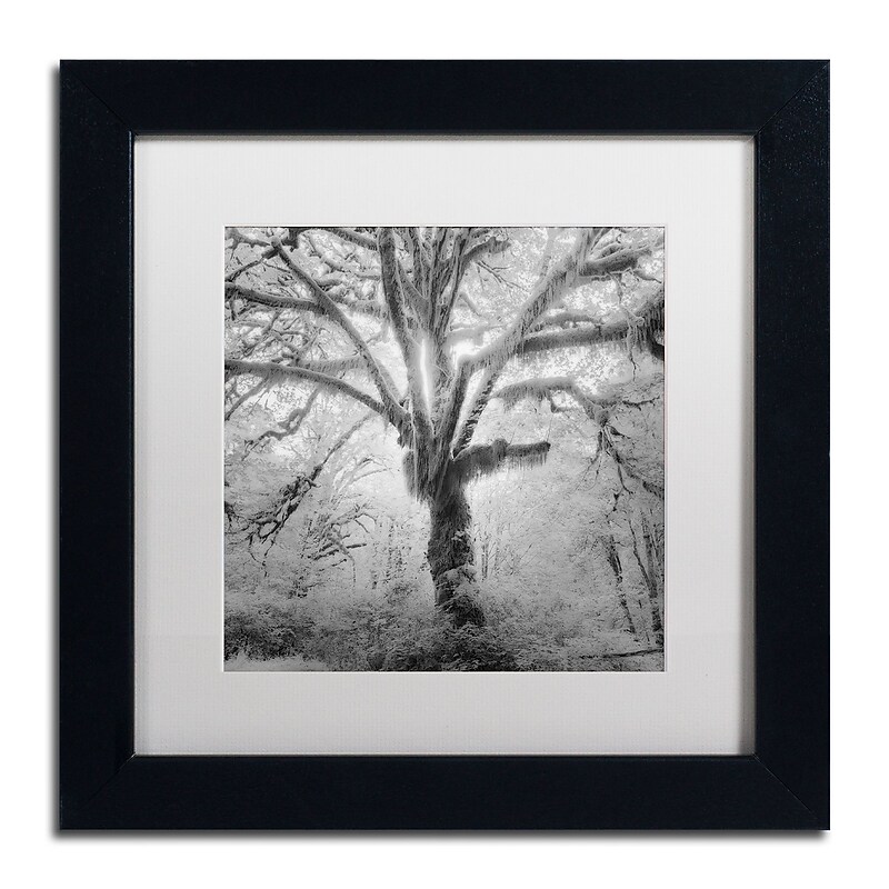 Trademark Fine Art ''Lightning Tree II'' by Moises Levy 11" x 11" White Matted Black Frame (ALI1080-B1111MF) image 1