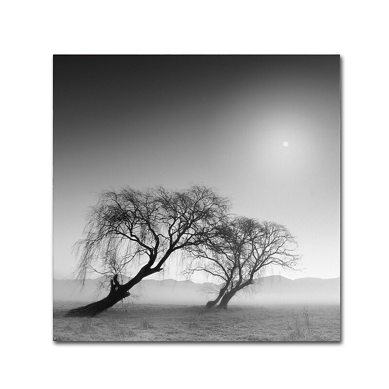 Trademark Fine Art ''Reverencia'' by Moises Levy 18" x 18" Canvas Art (ALI1081-C1818GG) image 1