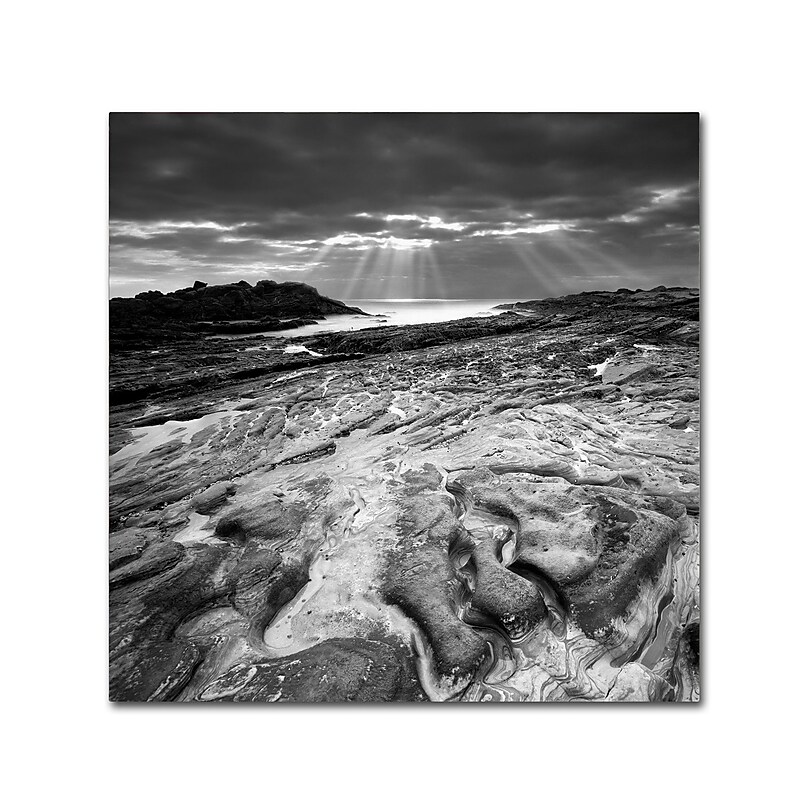 Trademark Fine Art ''Sunset at Point Lobos'' by Moises Levy 24" x 24" Canvas Art (ALI1082-C2424GG) image 1