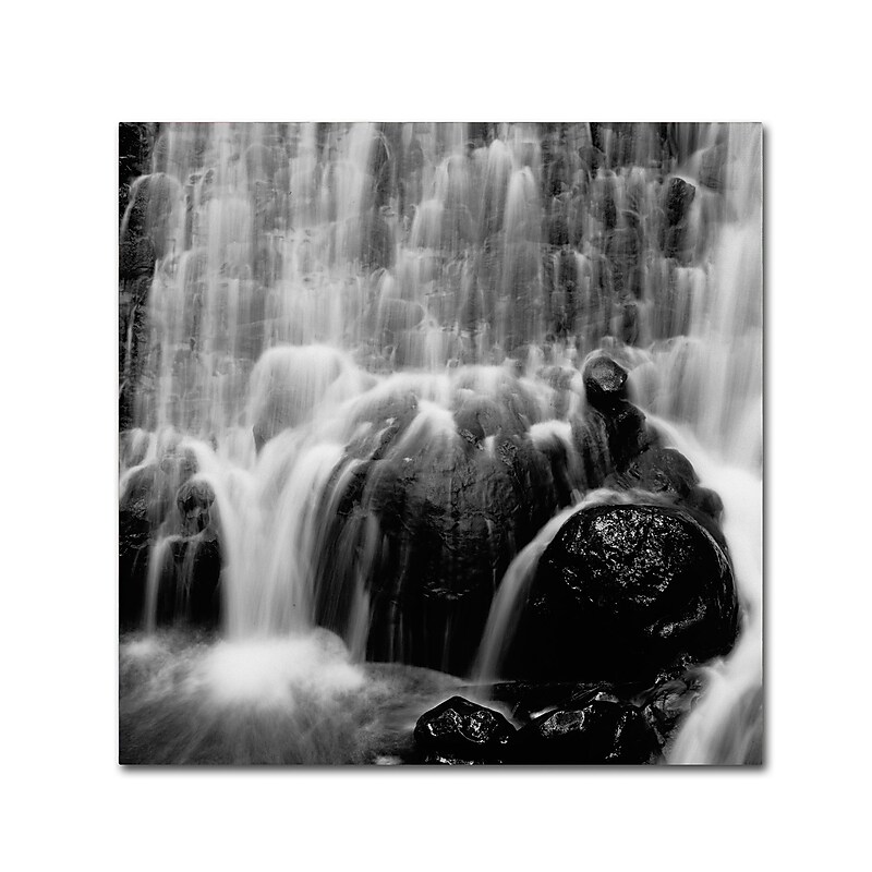 Trademark Fine Art ''Velo de Novia'' by Moises Levy 18" x 18" Canvas Art (ALI1084-C1818GG) image 1