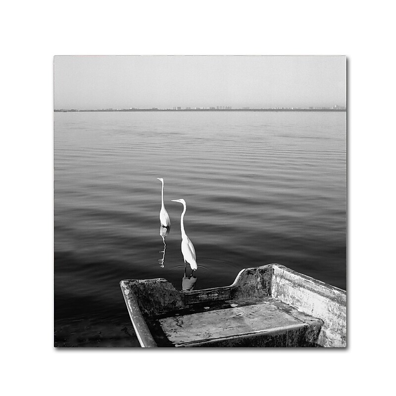 Trademark Fine Art ''2 Herons Leaving'' by Moises Levy 35" x 35" Canvas Art (ALI1085-C3535GG) image 1