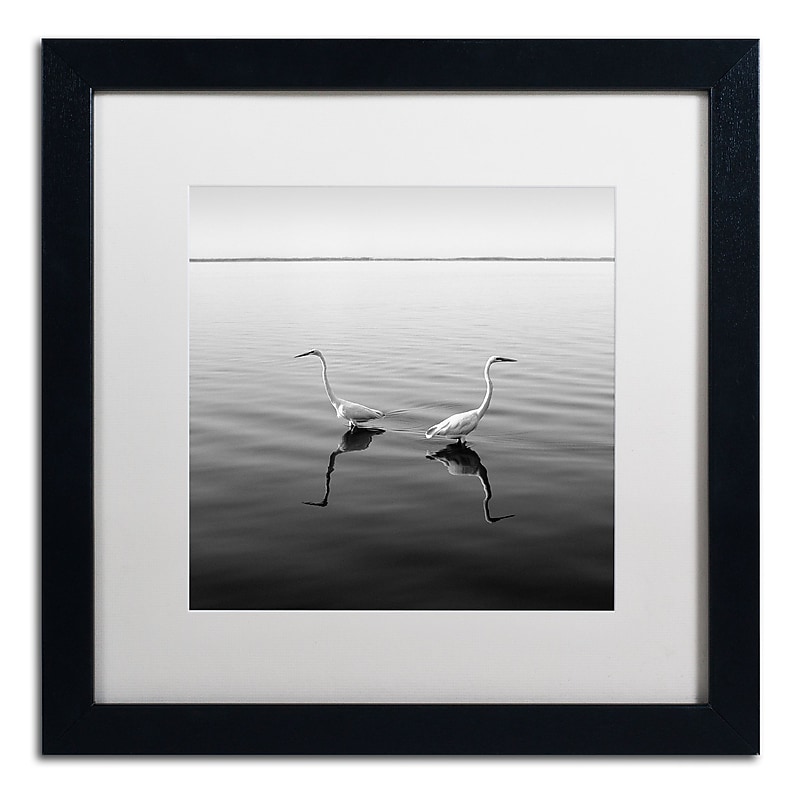 Trademark Fine Art ''2 Herons'' by Moises Levy 16" x 16" White Matted Black Frame (ALI1086-B1616MF) image 1