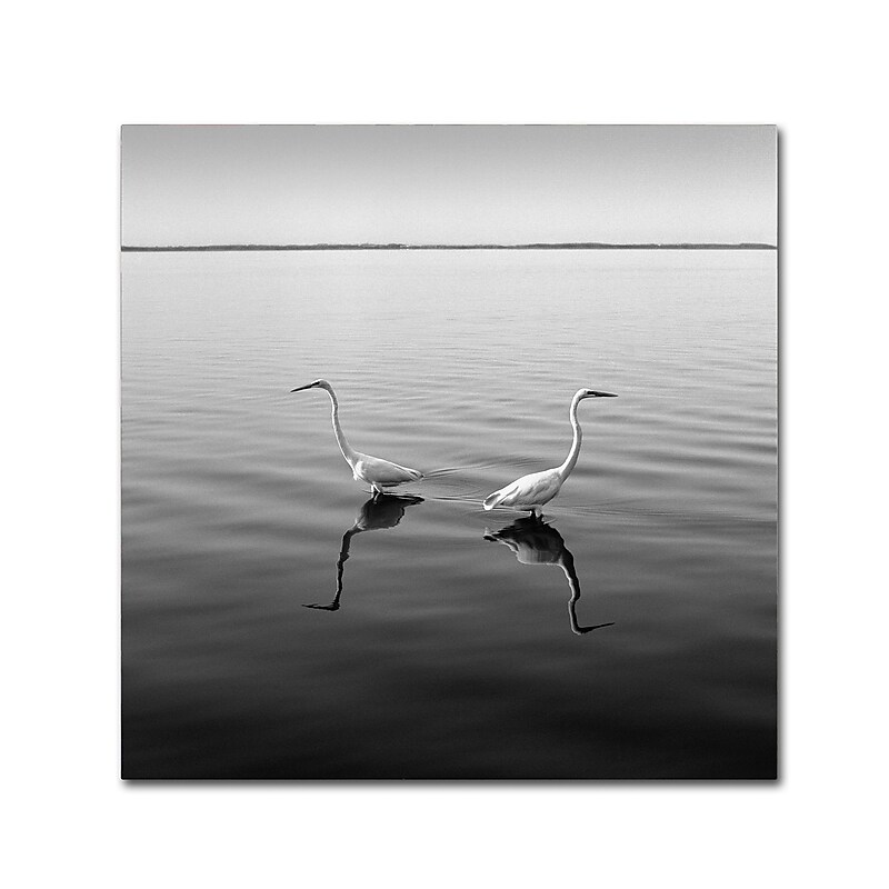 Trademark Fine Art ''2 Herons'' by Moises Levy 24" x 24" Canvas Art (ALI1086-C2424GG) image 1