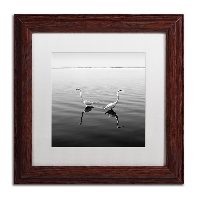 Trademark Fine Art ''2 Herons'' by Moises Levy 11" x 11" White Matted Wood Frame (ALI1086-W1111MF) image 1