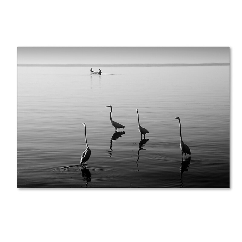 Trademark Fine Art ''4 Herons and Boat'' by Moises Levy 30" x 47" Canvas Art (ALI1088-C3047GG) image 1