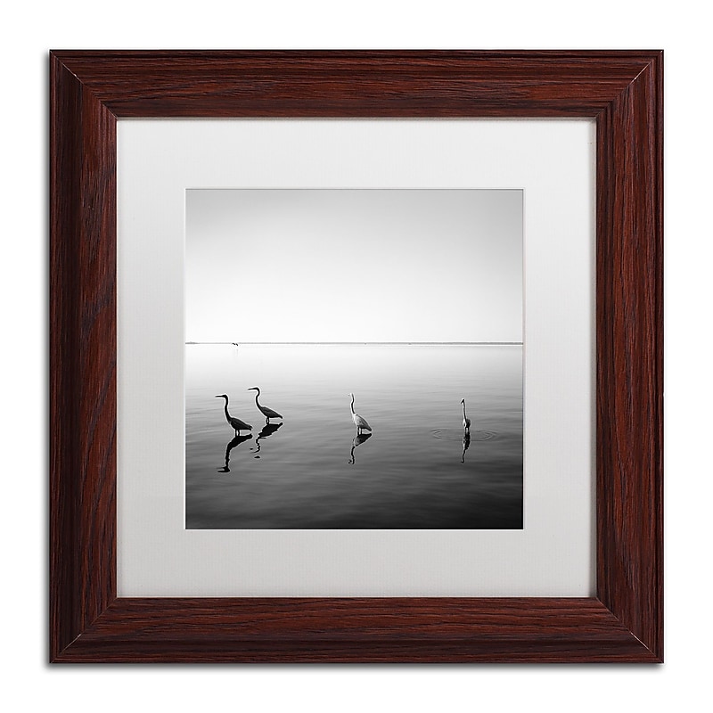 Trademark Fine Art ''4 Herons'' by Moises Levy 11" x 11" White Matted Wood Frame (ALI1089-W1111MF) image 1