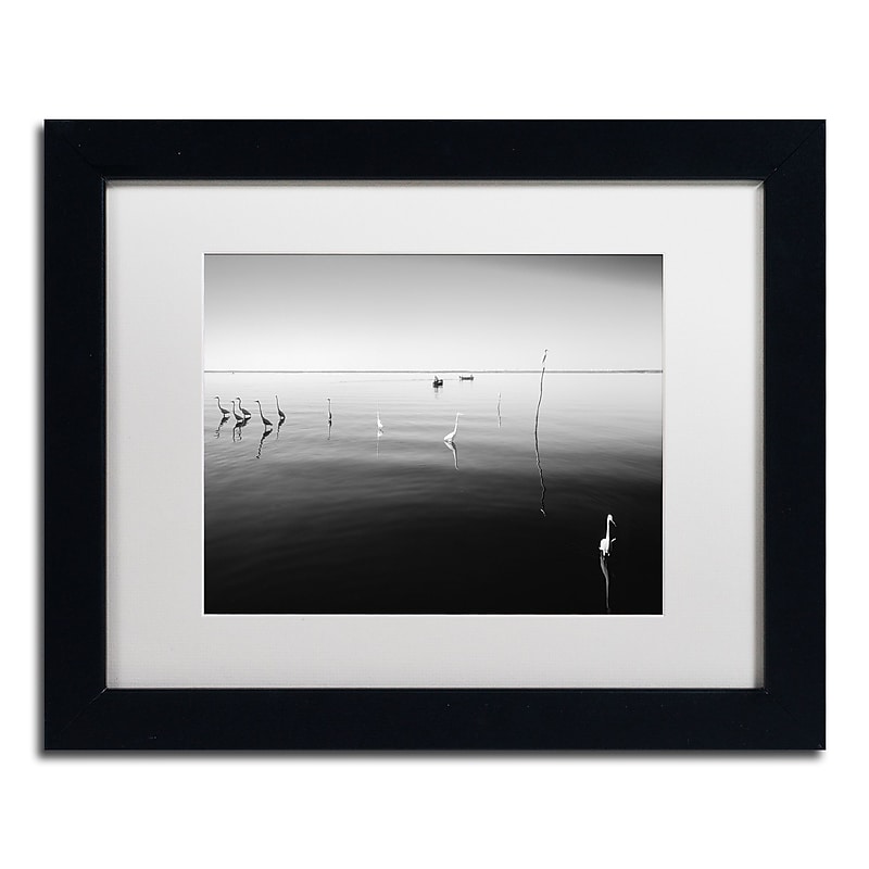 Trademark Fine Art ''11 Herons'' by Moises Levy 11" x 14" White Matted Black Frame (ALI1090-B1114MF) image 1
