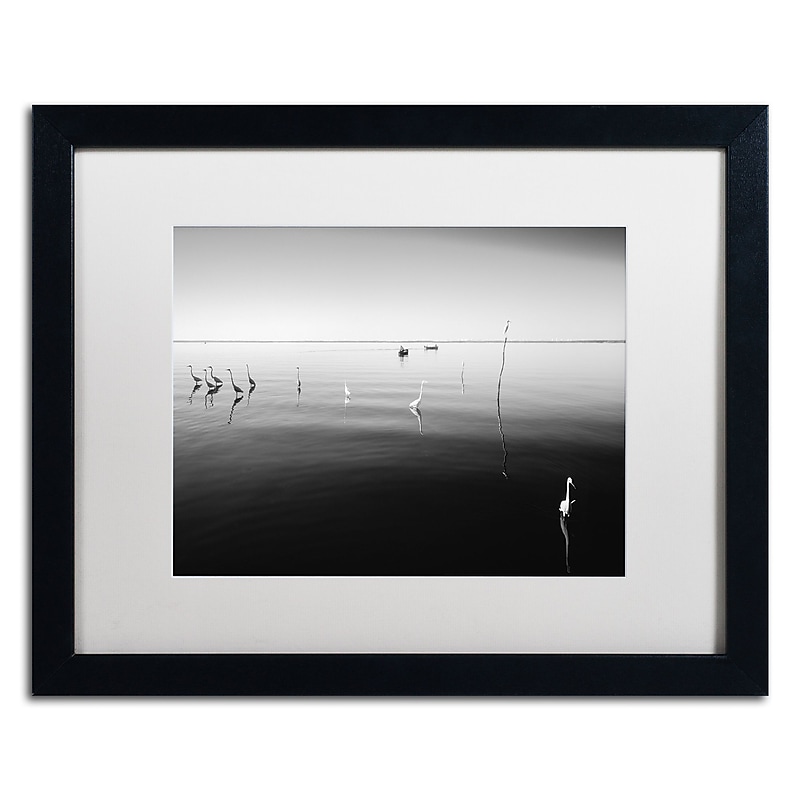 Trademark Fine Art ''11 Herons'' by Moises Levy 16" x 20" White Matted Black Frame (ALI1090-B1620MF) image 1